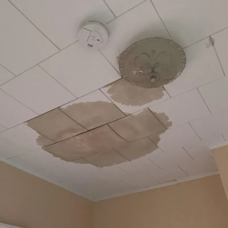 Ceiling Water Damage Repair in Dakota City, NE